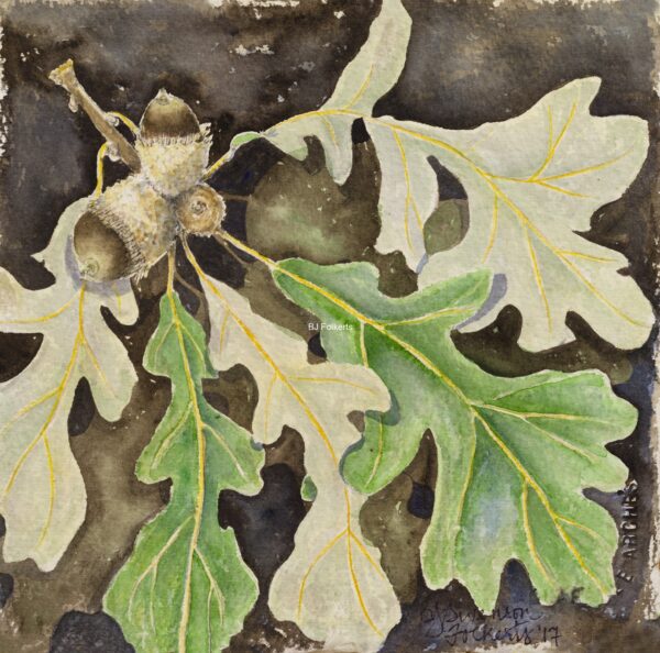 Acorns and Oak Leaves w:c