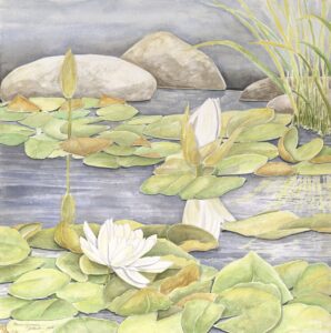 Zen Waterlilies