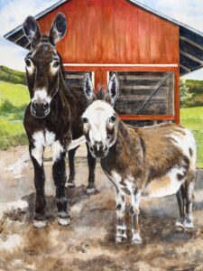 donkey and burrow in front of barn